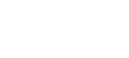 Ligera Reparación