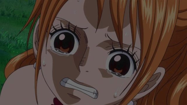 One Piece S19E853