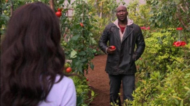 Los 4400 S04E09