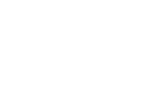 La vida escolar