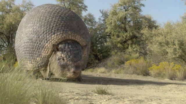 Planeta prehistórico S03E02