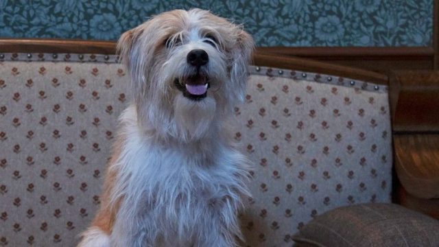 Best Medicine S01E11
