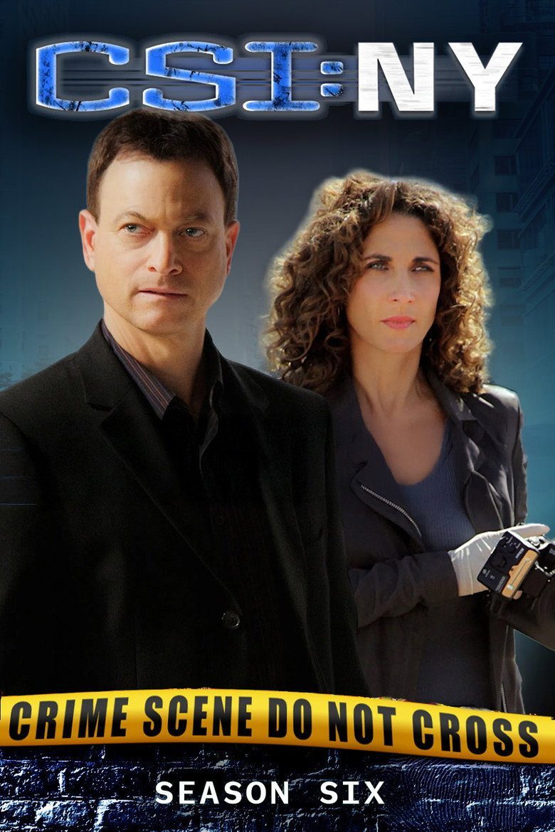 CSI: Nueva York Temporada 6