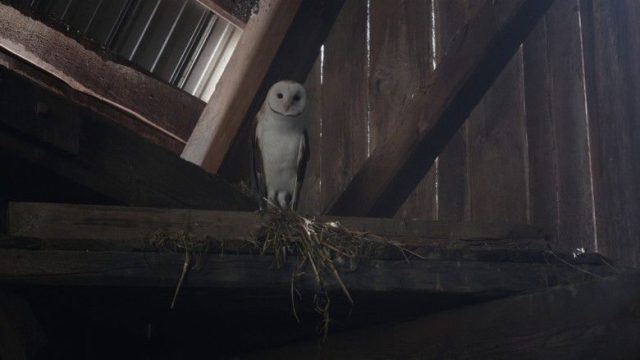 Fantasmas S03E01