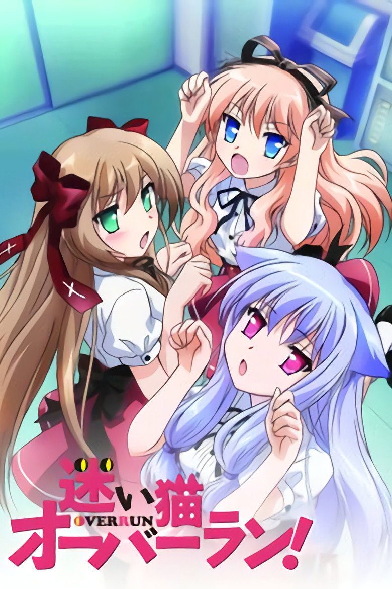 迷い猫オーバーラン! Temporada 1