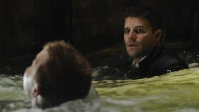 Bones S04E14