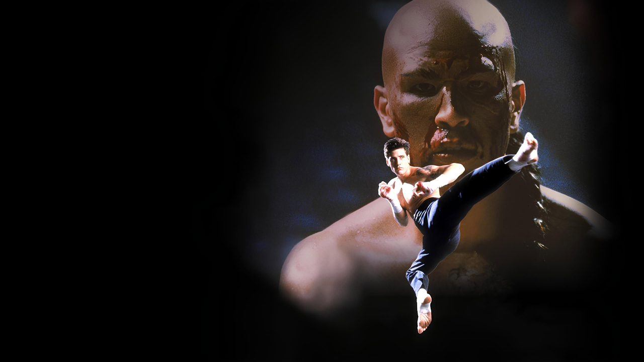 Kickboxer 4: El agresor