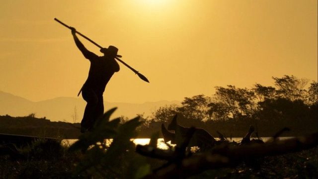 Pantanal S01E164