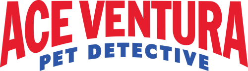 Ace Ventura: Detective de Mascotas