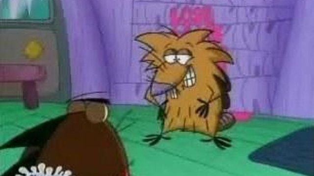 Los Castores Cascarrabias S03E05