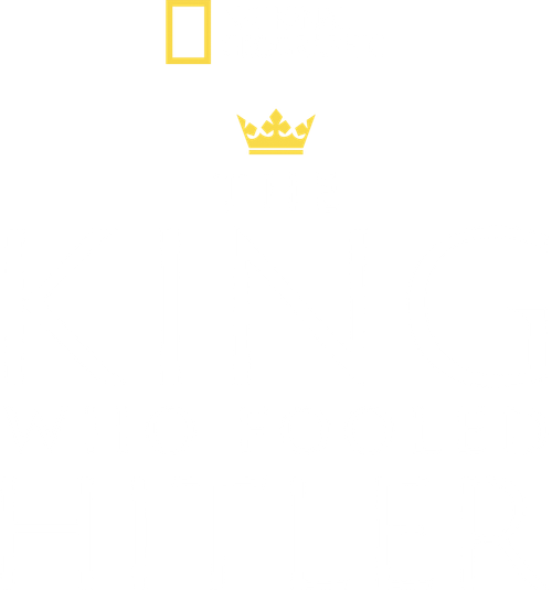 D-Day: El Rey que Engañó a Hitler