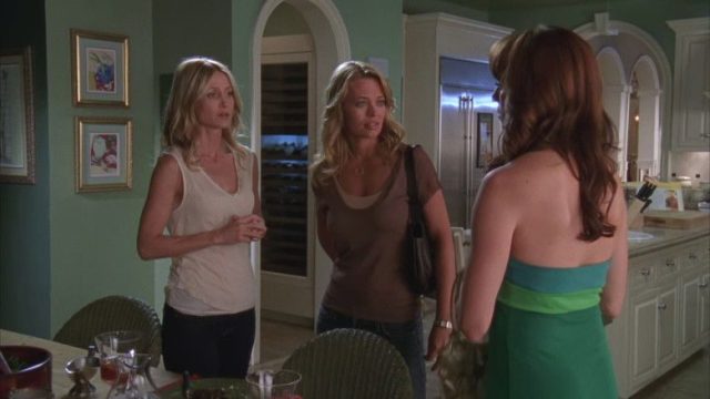 The O.C. Vidas Ajenas S03E05