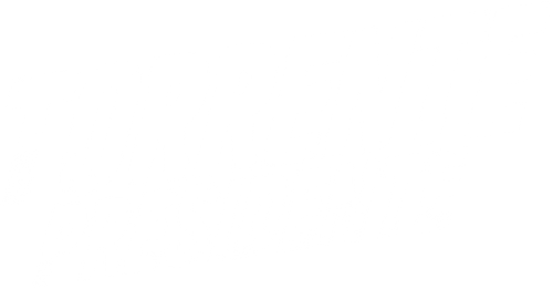 Torrente presidente