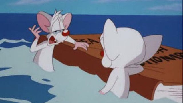 Pinky y Cerebro S03E30