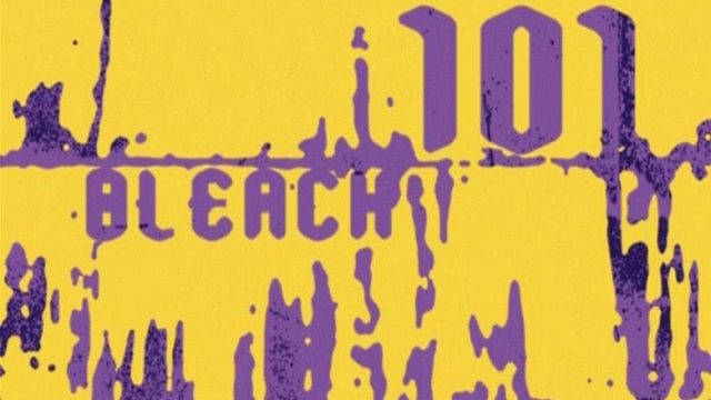 Bleach S01E101