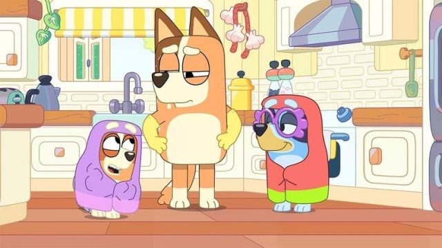 Bluey S01E28