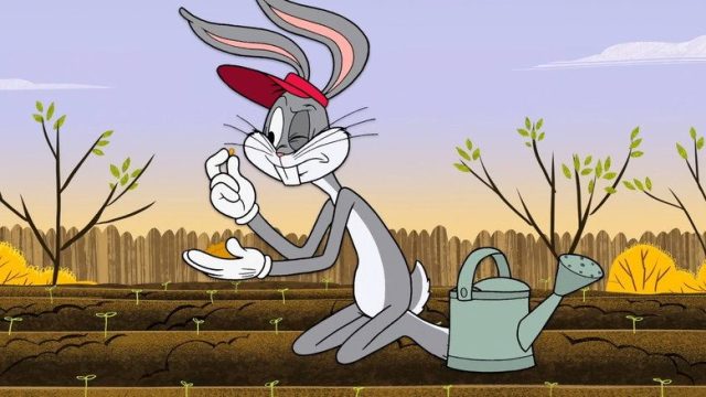 New Looney Tunes S01E23