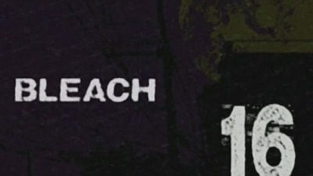 Bleach S01E16