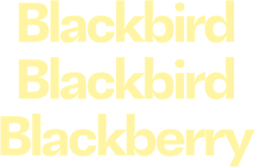 Blackbird Blackbird Blackberry