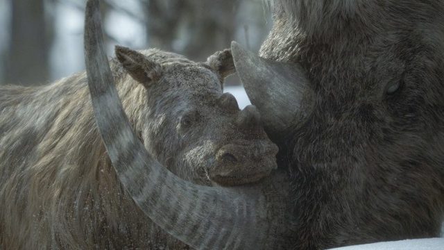 Planeta prehistórico S03E01