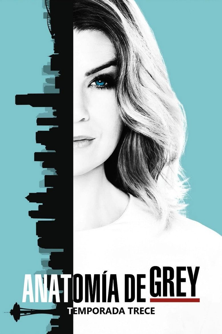 Anatomía según Grey Temporada 13