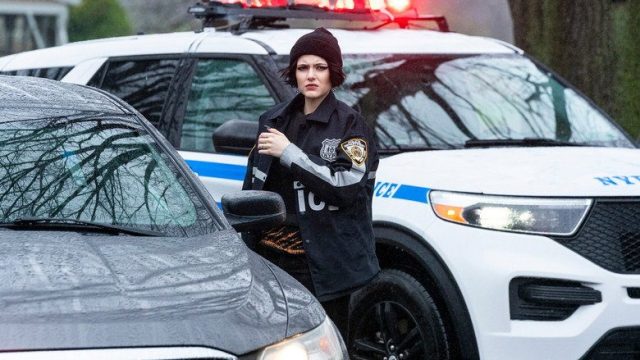 La ley y el orden: crimen organizado S04E11