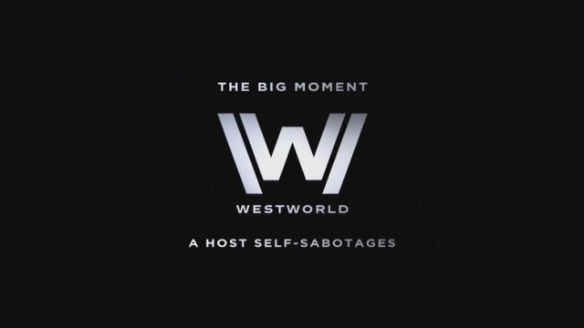Westworld S00E08