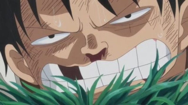One Piece S19E811