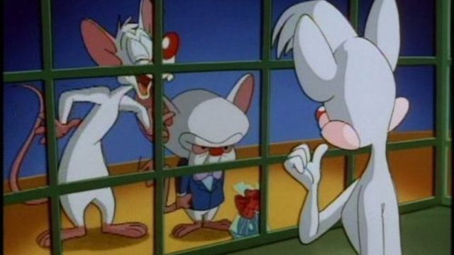 Animaniacs S01E114