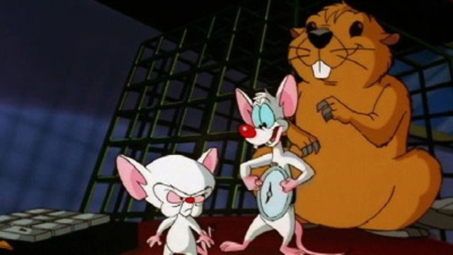 Pinky y Cerebro S03E01