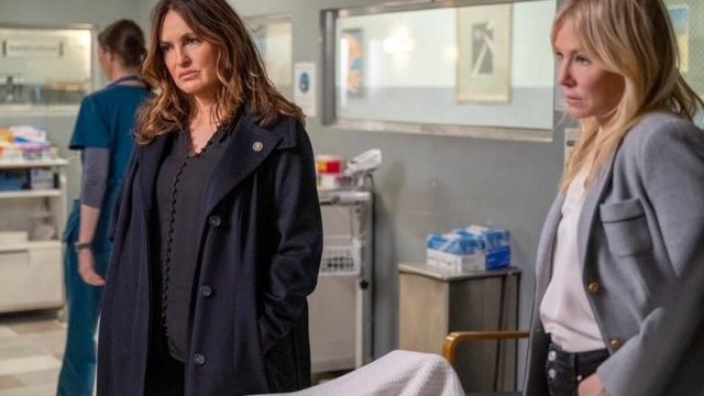 La Ley y el Orden: Unidad de Víctimas Especiales S23E18