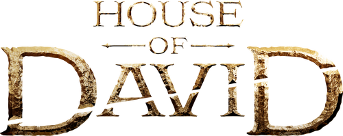 La casa de David