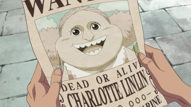 One Piece S19E838