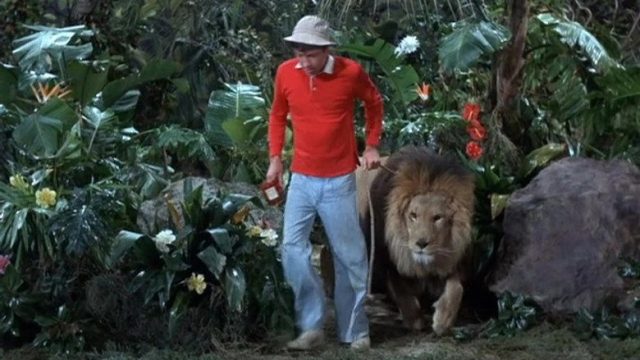 La isla de Gilligan S02E24