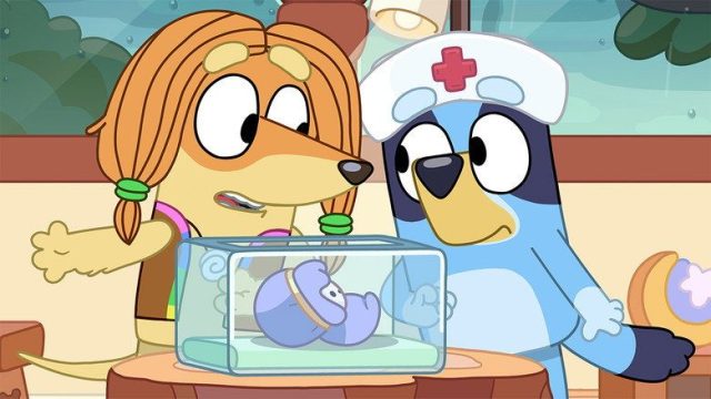Bluey S01E40