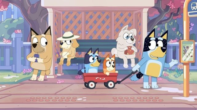 Bluey S01E24