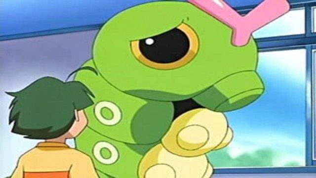 Pokémon S08E50