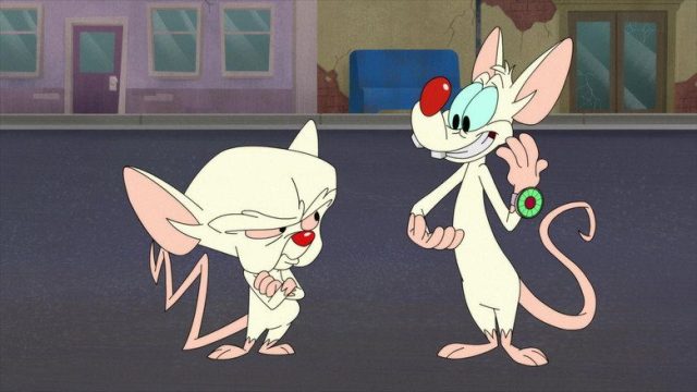 Animaniacs S02E08