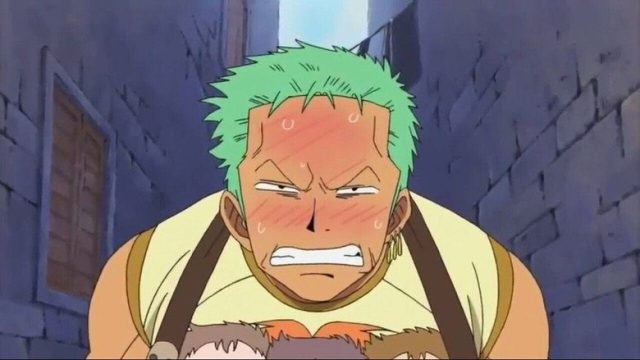 One Piece S09E318