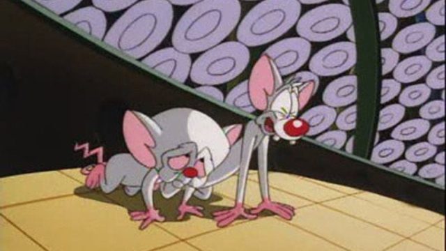 Pinky y Cerebro S04E01