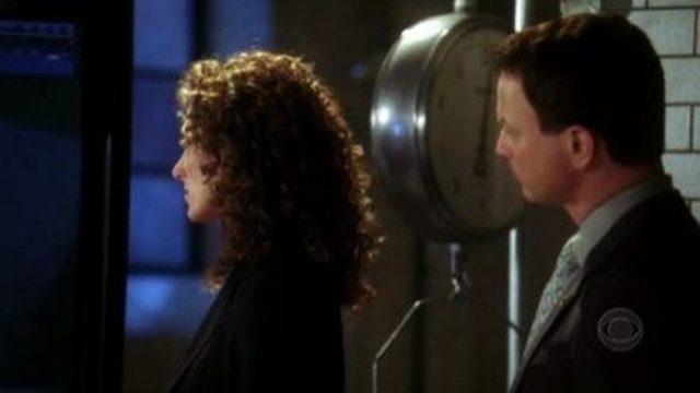 CSI: Nueva York S01E16