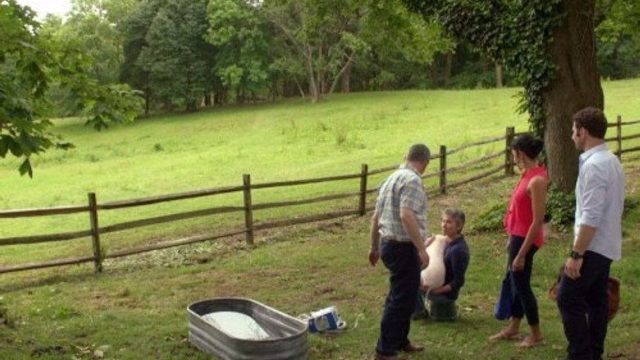 Royal Pains S04E08