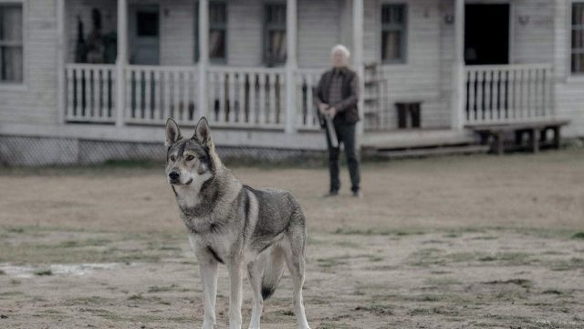 Absentia S03E06