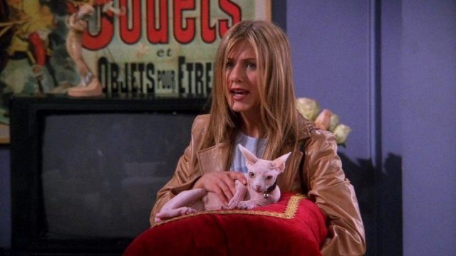 Friends S05E21