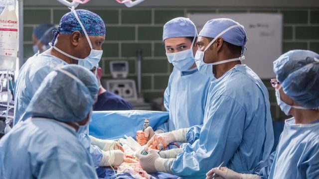 Anatomía según Grey S12E13