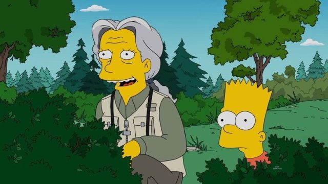 Los Simpson S28E20