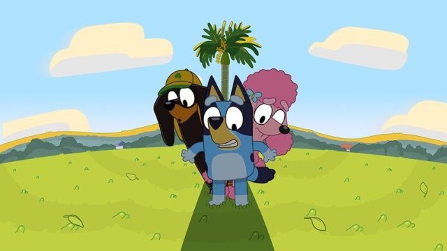 Bluey S01E05
