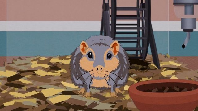 South Park S15E10