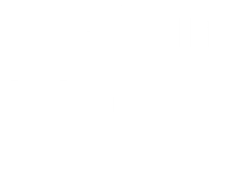 Simple Minds: Cuando todo es posible