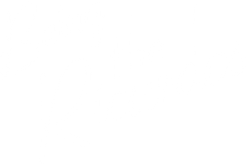 Todo sobre los Ricardos